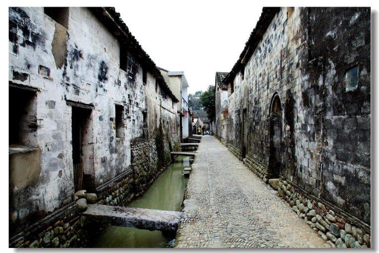 冷知识分享平台-《枯木逢春》txt下载在线阅读全文,求百度网盘云资源创意分享